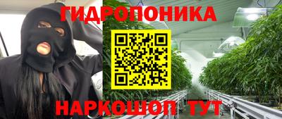 сатива Конаково