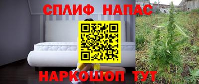 сатива Конаково