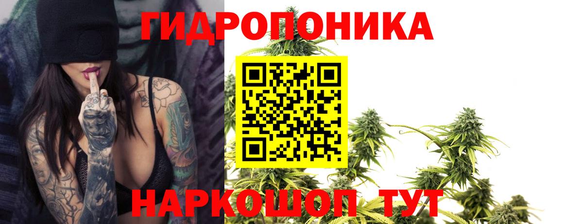 Шишки марихуана семена Каменск-Шахтинский